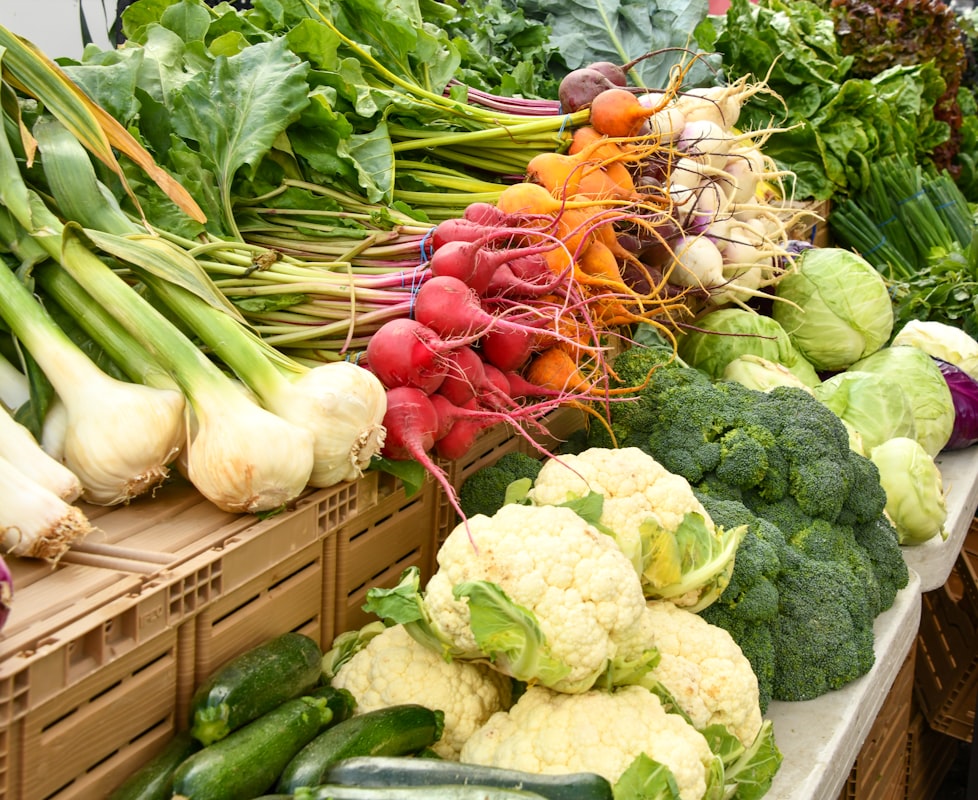 Gesunde Rezepte für moderne Ernährung
